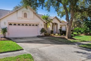 28424 OPENFIELD LOOP, WESLEY CHAPEL, FL 33543 Sold 04/08/25