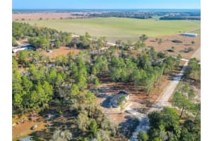 12891 14TH STREET, WILLISTON, FL 32696 Sold 03/06/25
