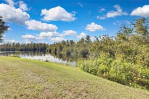 9739 ASBEL ESTATES STREET, LAND O LAKES, FL 34638 Sold 01/24/25