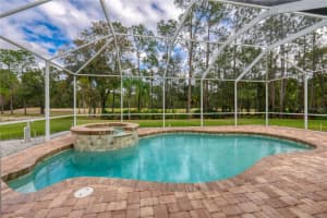 16004 SHINNECOCK DRIVE, ODESSA, FL 33556 Sold 02/26/25
