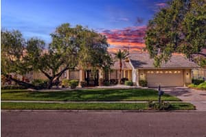 435 PALMDALE DRIVE, OLDSMAR, FL 34677 Sold 02/04/25
