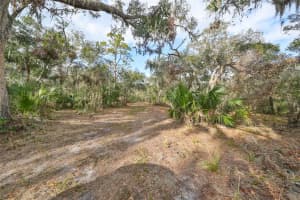 8839 RICHMOND STREET, GIBSONTON, FL 33534 - MLS#MFRTB8327503
