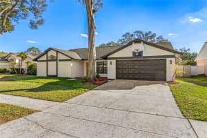 2709 FALLING LEAVES DRIVE, VALRICO, FL 33596 Sold 02/12/25