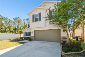 10703 ALDO MORO DRIVE, WIMAUMA, FL 33598 Sold 06/27/25