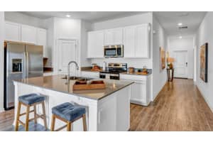 239 PUMA LOOP, GROVELAND, FL 34736 Sold 02/14/25