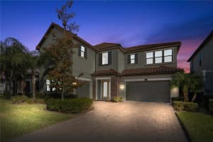 17907 WOODLAND VIEW DRIVE, LUTZ, FL 33548 Sold 02/28/25