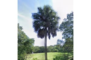 MLS# MFRTB8327743, Tampa, Florida 33619