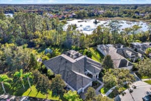 7041 TIMBER RIDGE WAY, LAND O LAKES, FL 34637 Sold 02/27/25