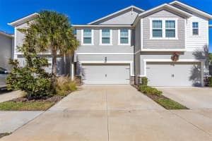 5805 Grand Sonata Ave, LUTZ