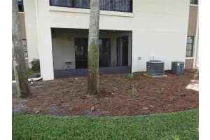 2700 NEBRASKA AVENUE, PALM HARBOR, FL 34684 Sold 06/03/25