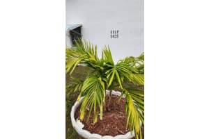 5825 18TH STREET, SAINT PETERSBURG, FL 33714 Sold 05/05/25