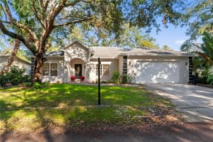4109 PLATT STREET, TAMPA, FL 33609 Sold 01/15/25
