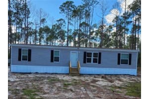 107 NEEDLES LANE, GEORGETOWN, FL 32139 Sold 04/15/25
