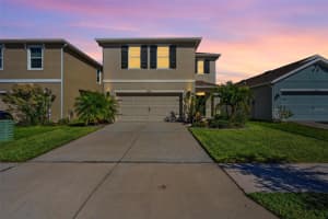 32627 ABBY LAX LANE, WESLEY CHAPEL, FL 33543 Sold 03/03/25