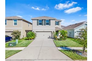 32627 ABBY LAX LANE, WESLEY CHAPEL, FL 33543 Sold 03/03/25