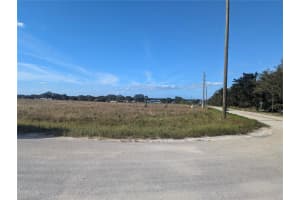 7655 COUNTY ROAD 17 S, SEBRING, FL 33876 - MLS#MFRTB8328126