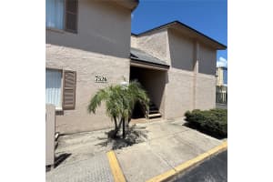 7526 NEEDLE LEAF PLACE, TAMPA, FL 33617 - MLS#MFRTB8328206