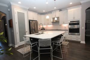 20043 STONE PINE CIRCLE, LUTZ, FL 33558 Sold 01/17/25