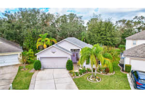 4704 BEAR CLAW COURT, VALRICO, FL 33594 Sold 03/28/25