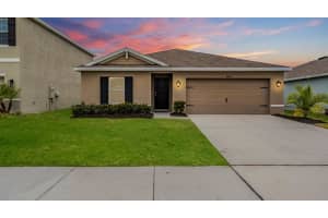 8465 BOWER BASS CIRCLE, WESLEY CHAPEL, FL 33545 Sold 03/20/25