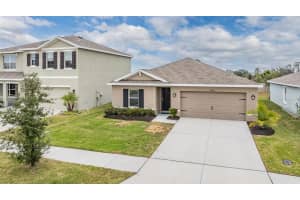 8465 BOWER BASS CIRCLE, WESLEY CHAPEL, FL 33545 Sold 03/20/25