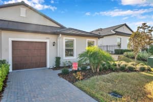 31371 CABANA RYE AVENUE, SAN ANTONIO, FL 33576 Sold 09/05/25