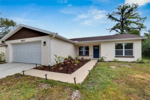 14813 OAK VINE DRIVE, LUTZ, FL 33559 Sold 02/27/25