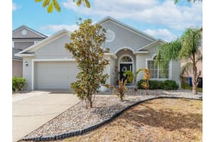 8619 SANDY PLAINS DRIVE, RIVERVIEW, FL 33578 Sold 01/29/25