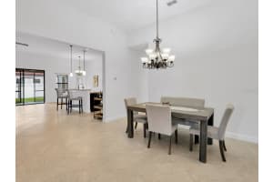 11926 CINNAMON FERN DRIVE, RIVERVIEW, FL 33579 - MLS#MFRTB8328632