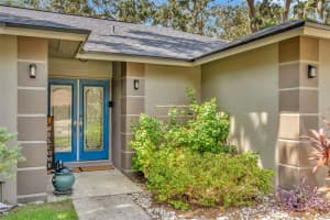 3923 APPLEGATE CIRCLE, BRANDON, FL 33511 Sold 01/28/25