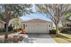 19804 TIMBERBLUFF DRIVE, LAND O LAKES, FL 34638 Sold 02/07/25