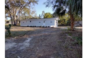 8338 YELLOW PINE AVENUE, BROOKSVILLE, FL 34613 Sold 01/31/25