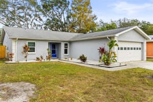 1916 PEPPERTREE DRIVE, OLDSMAR, FL 34677 Sold 02/20/25