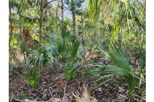 10960 TOWNSEND LANE, HOMOSASSA, FL 34448 Sold 01/31/25