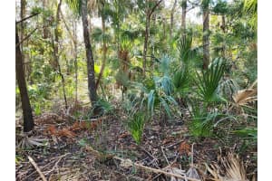 10960 TOWNSEND LANE, HOMOSASSA, FL 34448 Sold 01/31/25