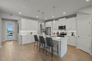 31471 WOODLAND RACE LOOP, WESLEY CHAPEL, FL 33545 Sold 04/11/25