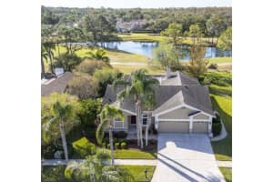 11228 BLOOMINGTON DRIVE, TAMPA, FL 33635 Sold 03/13/25