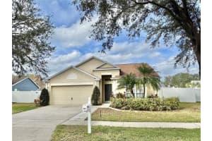26901 ROSEANN PLACE, LUTZ, FL 33559 Sold 01/24/25