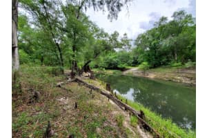 RINGWALT DR, DADE CITY, FL 33523 - MLS#MFRTB8329168