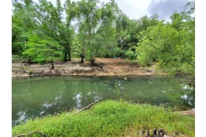 RINGWALT DR, DADE CITY, FL 33523 - MLS#MFRTB8329168