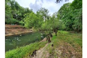 RINGWALT DR, DADE CITY, FL 33523 - MLS#MFRTB8329168