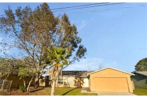 619 DELMONTE COURT, KISSIMMEE, FL 34758 Sold 02/05/25