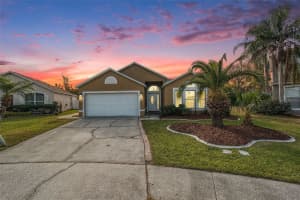 31608 LOCH ALINE DRIVE, WESLEY CHAPEL, FL 33545 Sold 02/06/25