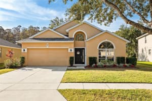 11948 PALM BAY COURT, NEW PORT RICHEY, FL 34654 Sold 04/16/25