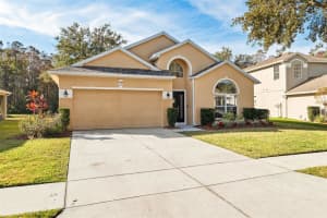 11948 PALM BAY COURT, NEW PORT RICHEY, FL 34654 Sold 04/16/25