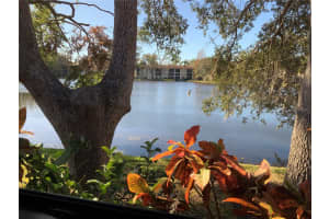3480 HILLMOOR DRIVE, PALM HARBOR, FL 34685 Sold 08/08/25