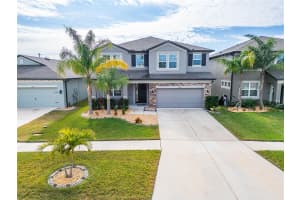 11411 ALACHUA CREEK LANE, RIVERVIEW, FL 33579 - MLS#MFRTB8329351