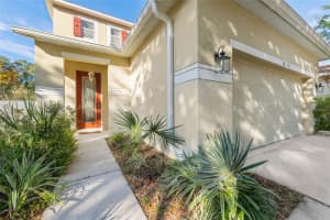 19538 TIMBERBLUFF DRIVE, LAND O LAKES, FL 34638 Sold 01/29/25