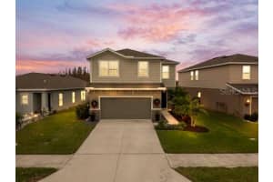 10675 HAWKS LANDING DRIVE, LAND O LAKES, FL 34638 Sold 02/26/25
