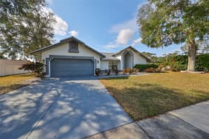 11332 TORREY PINES DRIVE, RIVERVIEW, FL 33579 Sold 03/03/25